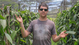 Étude sur les Effets de la Scarification Chimique et de la Concentration d'Azote sur la Germination et le Développement In Vitro de Vanilla planifolia