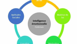 L'intelligence émotionnelle