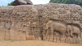 Fin de séjour, entre Mahabalipuram et Chennai (ex Madras)