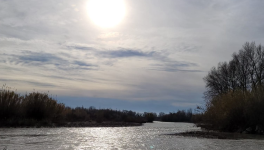 Balade au clair de brume