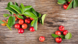 l'ACÉROLA,ou, CERISE DE LA BARBADE