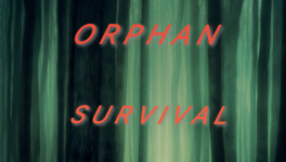 Chapitre 23 - Renaissance