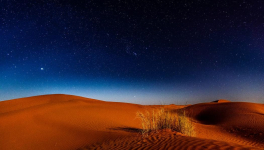 La Lisiere du Desert