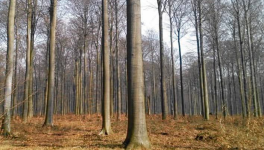Connaissez-vous le mot bibiothèque ? Non ? C'est normal.