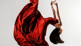 The Sculptural Photography of Vadim Stein