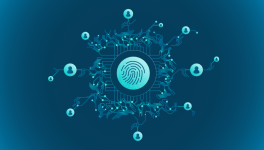 Auteurs Panodyssey Visibilité Semaine 4