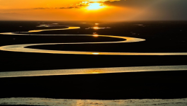 Ô marcheur intrépide…