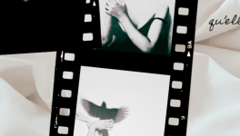 𝒩ℯ 𝓅𝓁𝓊𝓈 𝓇𝒾ℯ𝓃 ℯ𝓃𝒸𝒶𝒾𝓈𝓈ℯ𝓇 ~