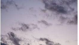 Écrire un texte avec les mots suivants :Ange, bécoter, cassis, disque, éliminer, fantôme, générique, hectare.