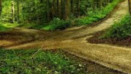 Au hasard de la découverte