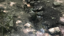 Le jour où j'ai appris à voir- Introduction