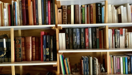 Le jardin du 30 juillet 