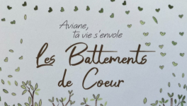 Troisième année : sentir