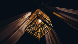 Chapitre 14 - Sortir de la cage