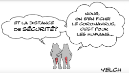 DISTANCE DE SECURITE CORONAVIRUS ET RATS