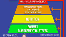 La pyramide de la récupération