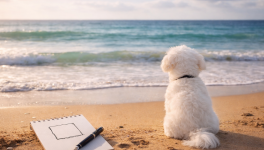 Arrêter pour avancer ?