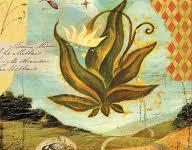 Les 4 (+1) accords toltèques