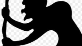 Dina la sorcière et Nico le serpent