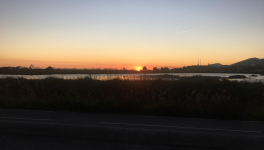 Au cœur de la naissance