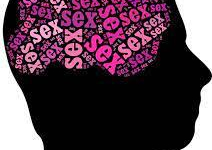 La théorie de l'addiction sexuelle  