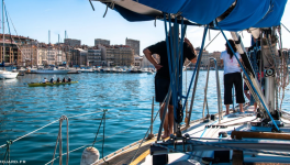Deux plumes au fil de l'eau