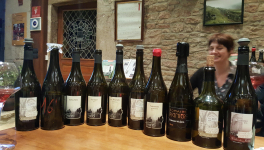 Visite au Domaine Pignier à Montaigu