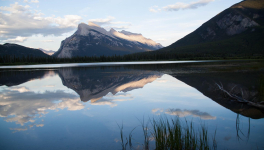 Un reflet de mon roman