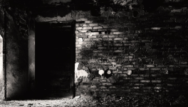 Chapitre 11 - POV Lia