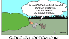 Sexe en extérieur