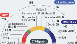 Comment les français se sont-ils fait voler les élections législatives de 2024?