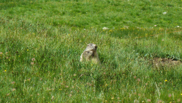 Bonneval-sur-Arc et ses alentours