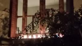 Dans le bleu sale de la nuit de Paris