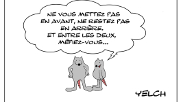 Le rat qui se méfiait de tout