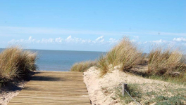 Le petit bois de trousse confinement.
