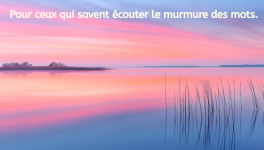 Des mots pour une âme en éveil