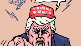 élections de mi-mandat : Trump a perdu son pari !