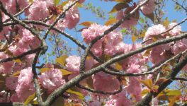 Premières impressions