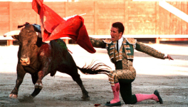 Sur la "maltraitance" animale, l'heure devient grave !