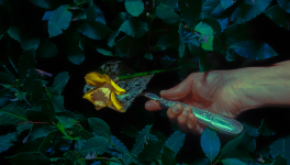 Fenêtre à barreaux