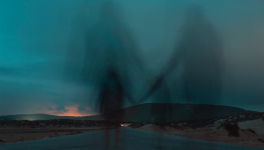 Vers cette fleur lointaine