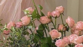 Comment d’un enfant 𝐢𝐧𝐧𝐨𝐜𝐞𝐧𝐭, on puisse devenir un humain 𝘵𝘪𝘳𝘢𝘪𝘭𝘭𝘢𝘯𝘵 ?