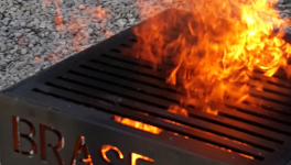 PENSÉE D'UN JOUR ANARCHO-ROYALISTE