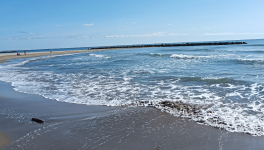 Blabla d'enfer ! : Chapitre 4                                  Caméléon                                                                              