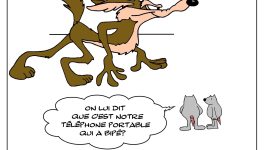 Le bip bip entendu n'est peut être pas celui que l'on croit