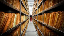 Inscription newsletter ceciliagenealogie