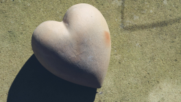 Vie fragile au cœur d'argile