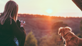 Ça va aller D'Alice Colin