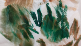 Un choix sans pourquoi