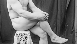 5 Le travail d’Hercule